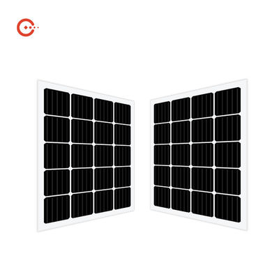 गुणवत्ता  Rixin CE BIPV Solar Panels Transparent Glass Monocrystalline PV Module कारखाना